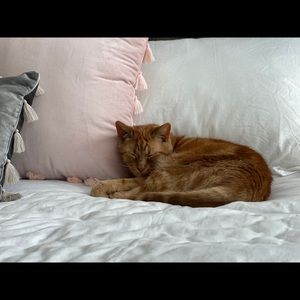 Meet your Posher, Elizabeth